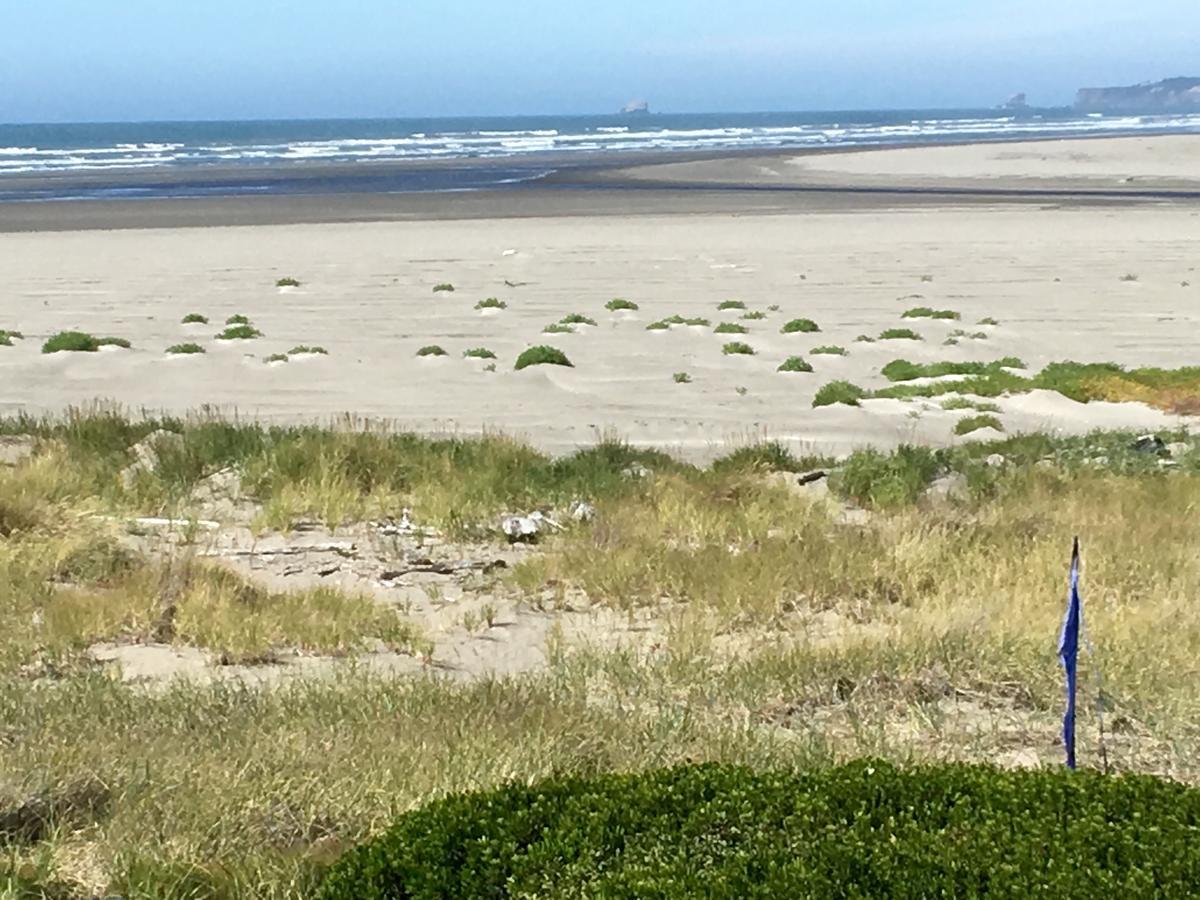 Hi-Tide Ocean Beach Resort Моклипс Экстерьер фото